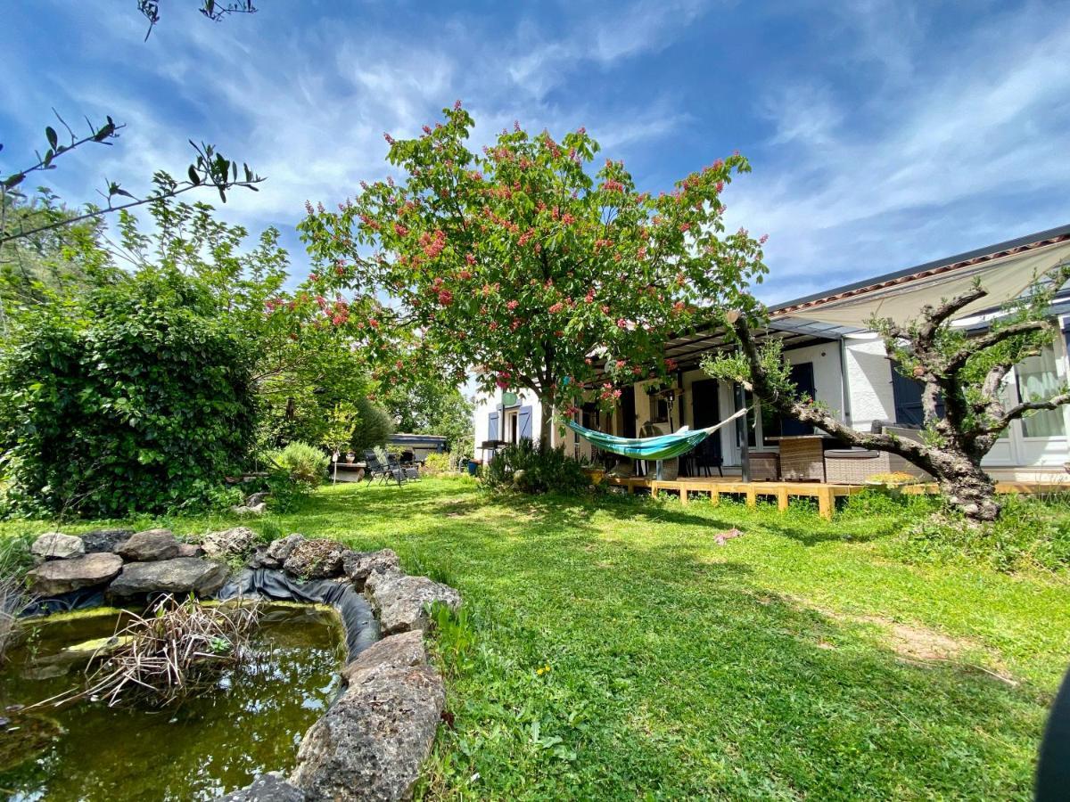 Chambres D'Hotes Le Mas Du Bijou Bleu Puget-sur-Argens Dış mekan fotoğraf