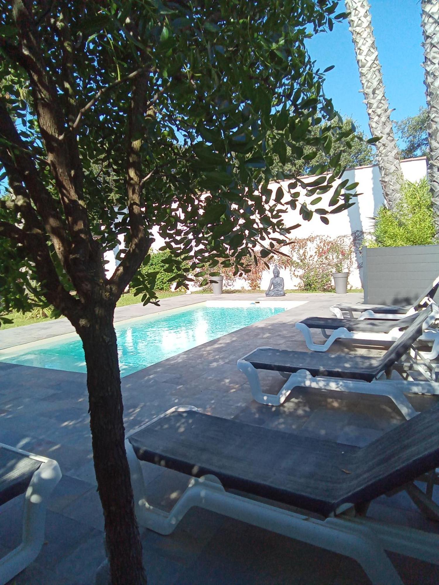 Chambres D'Hotes Le Mas Du Bijou Bleu Puget-sur-Argens Dış mekan fotoğraf